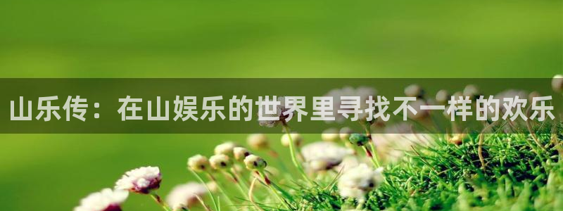 极悦代理22032：山乐传：在山娱乐的世界里寻找不一样的欢乐