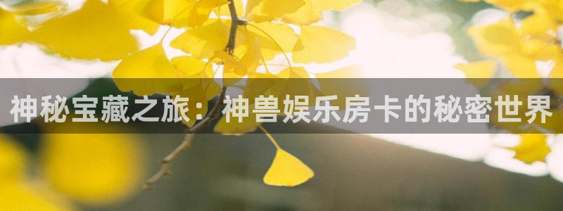 极悦注册：神秘宝藏之旅：神兽娱乐房卡的秘密世界