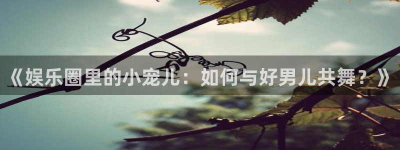 极悦娱乐：《娱乐圈里的小宠儿：如何与好男儿共舞？》