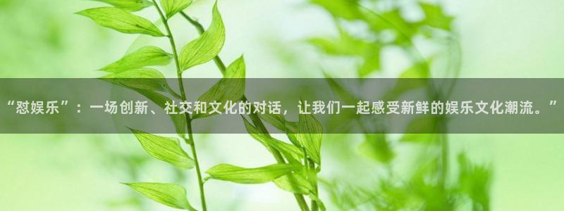 极悦官方网：“怼娱乐”：一场创新、社交和文化的对话，让我们一起感受新鲜的娱乐文化潮流。”