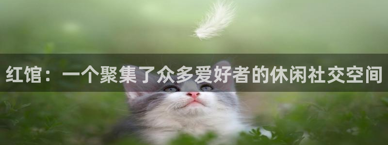 upload/20250701114914.jpg