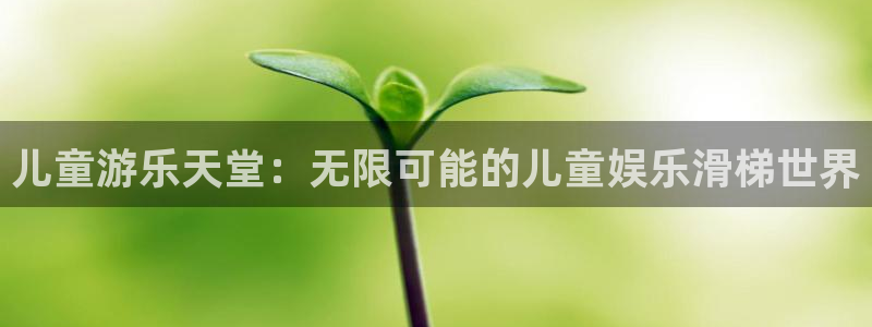 程极悦：儿童游乐天堂：无限可能的儿童娱乐滑梯世界